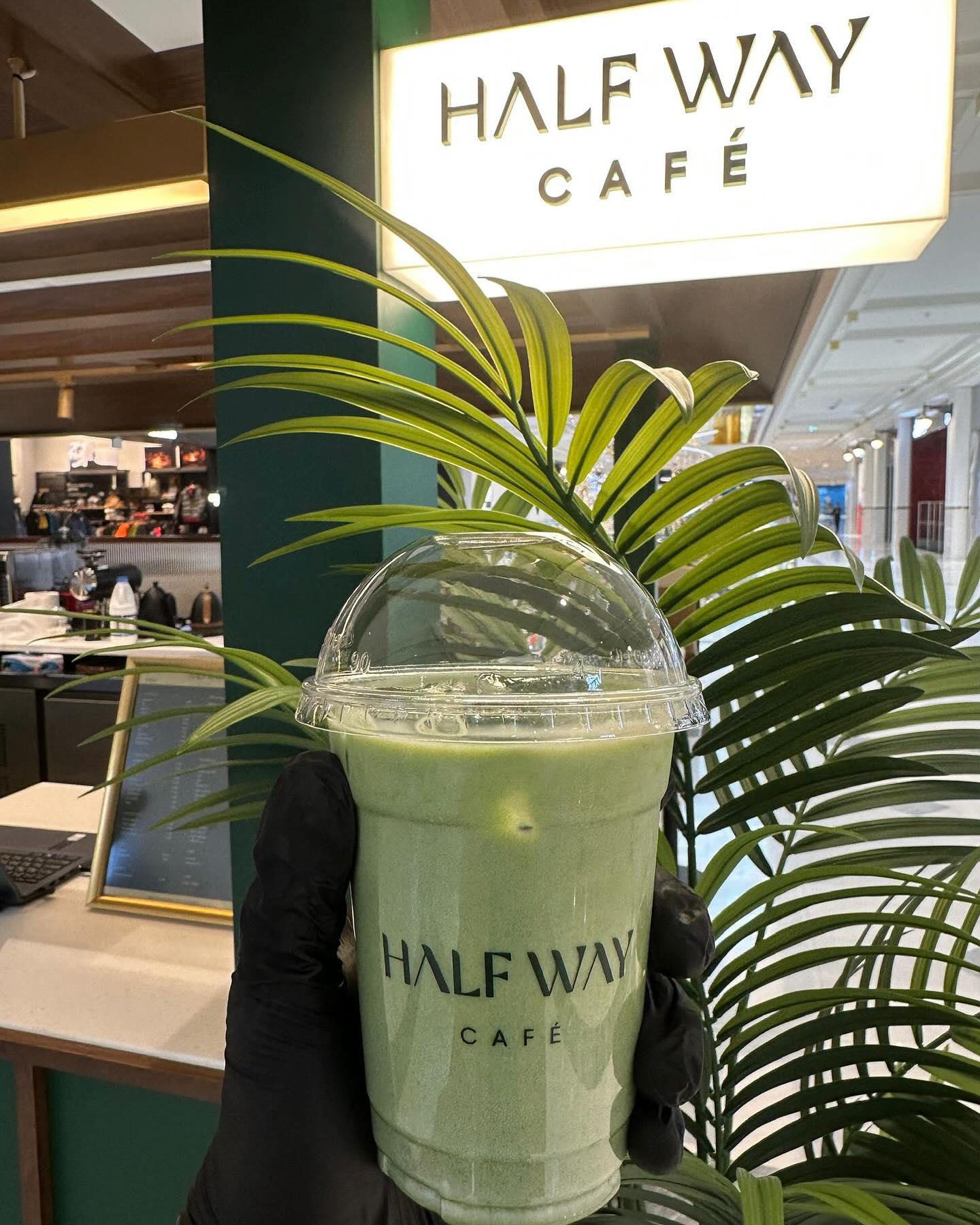 Matcha Latte